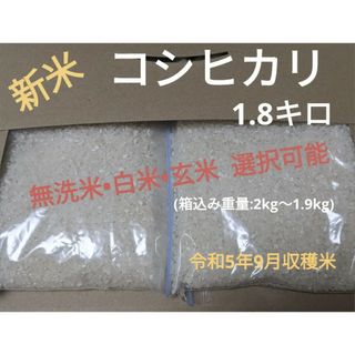 令和5年度新米コシヒカリ1.8キロ(無洗米可)(米/穀物)