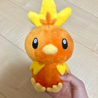 ポケモン(ポケモン)のアチャモ　ぬいぐるみ　ポケモン(ぬいぐるみ)