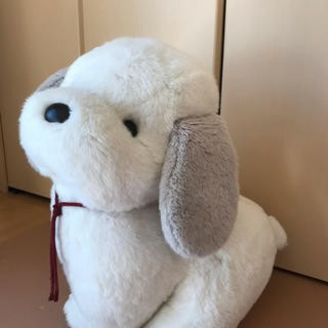 うめ吉 特大サイズ希少! | フリマアプリ ラクマ
