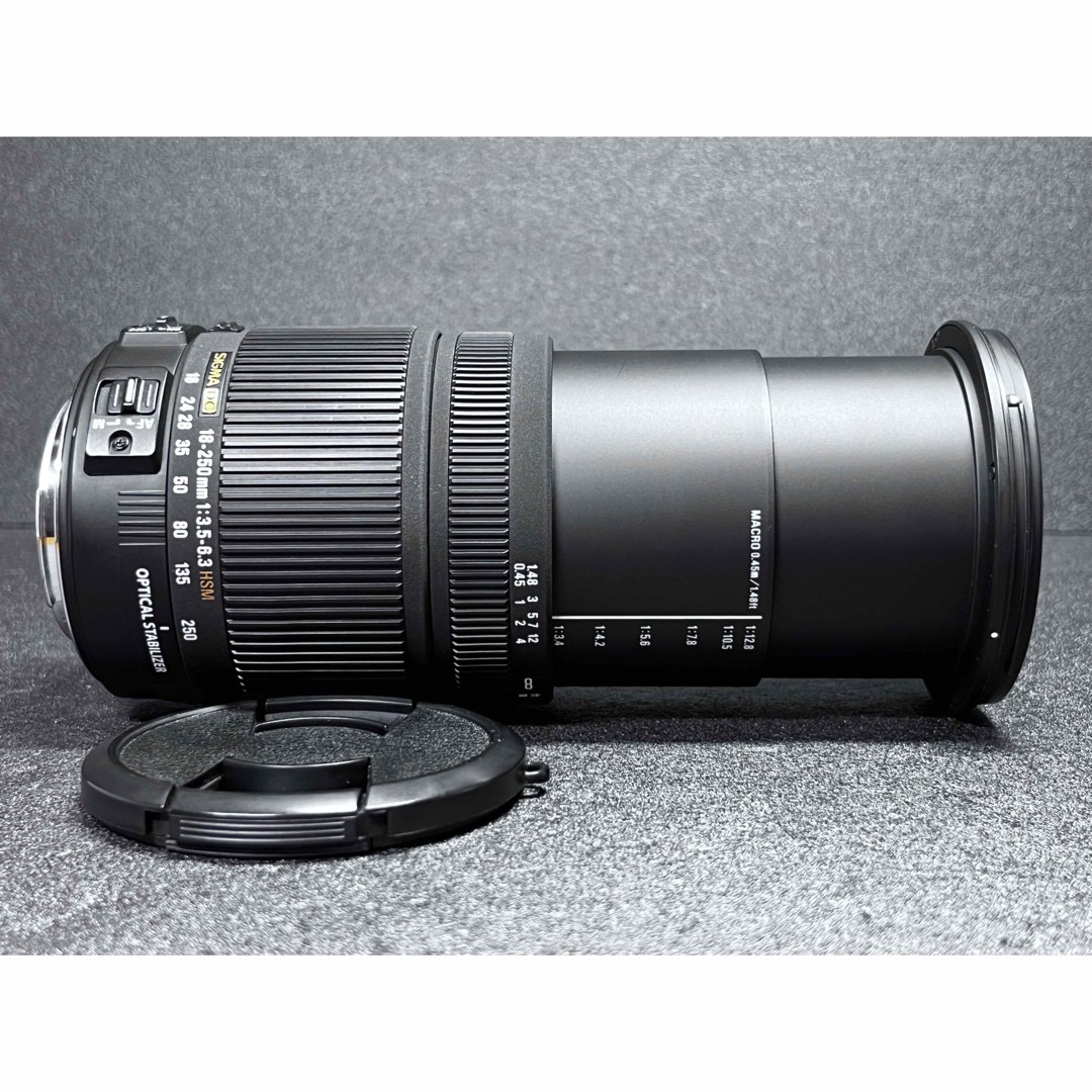✨安心保証✨SIGMA 18-250mm f/3.5-6.3 OS CANON