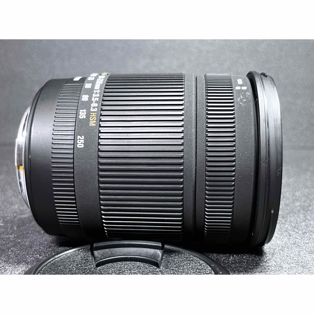 ✨安心保証✨SIGMA 18-250mm f/3.5-6.3 OS CANON