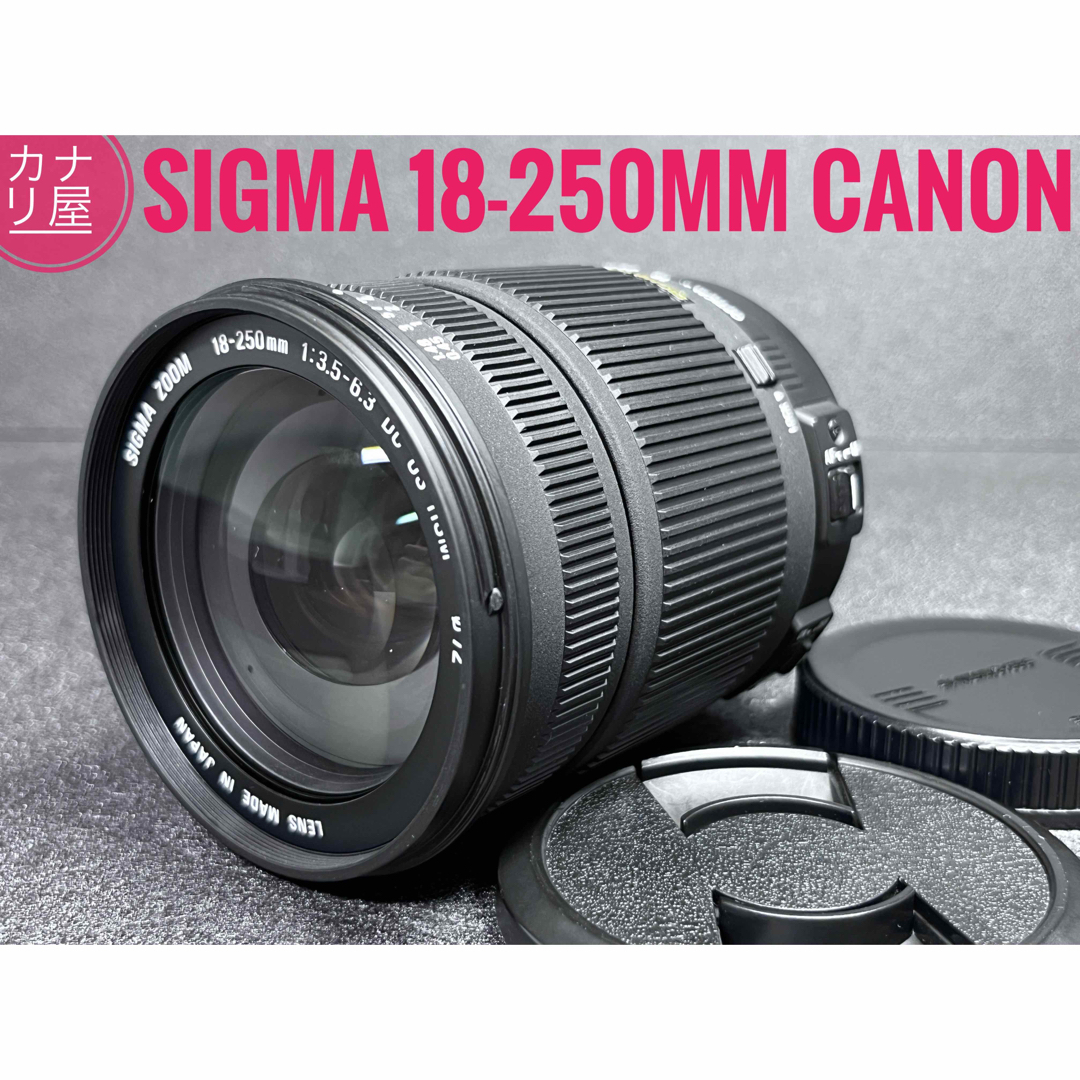 ✨安心保証✨SIGMA 18-250mm f/3.5-6.3 OS CANON