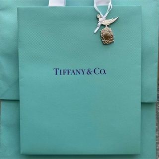 Tiffany & Co. - 新品 ティファニー バードオンアロック ノベルティ