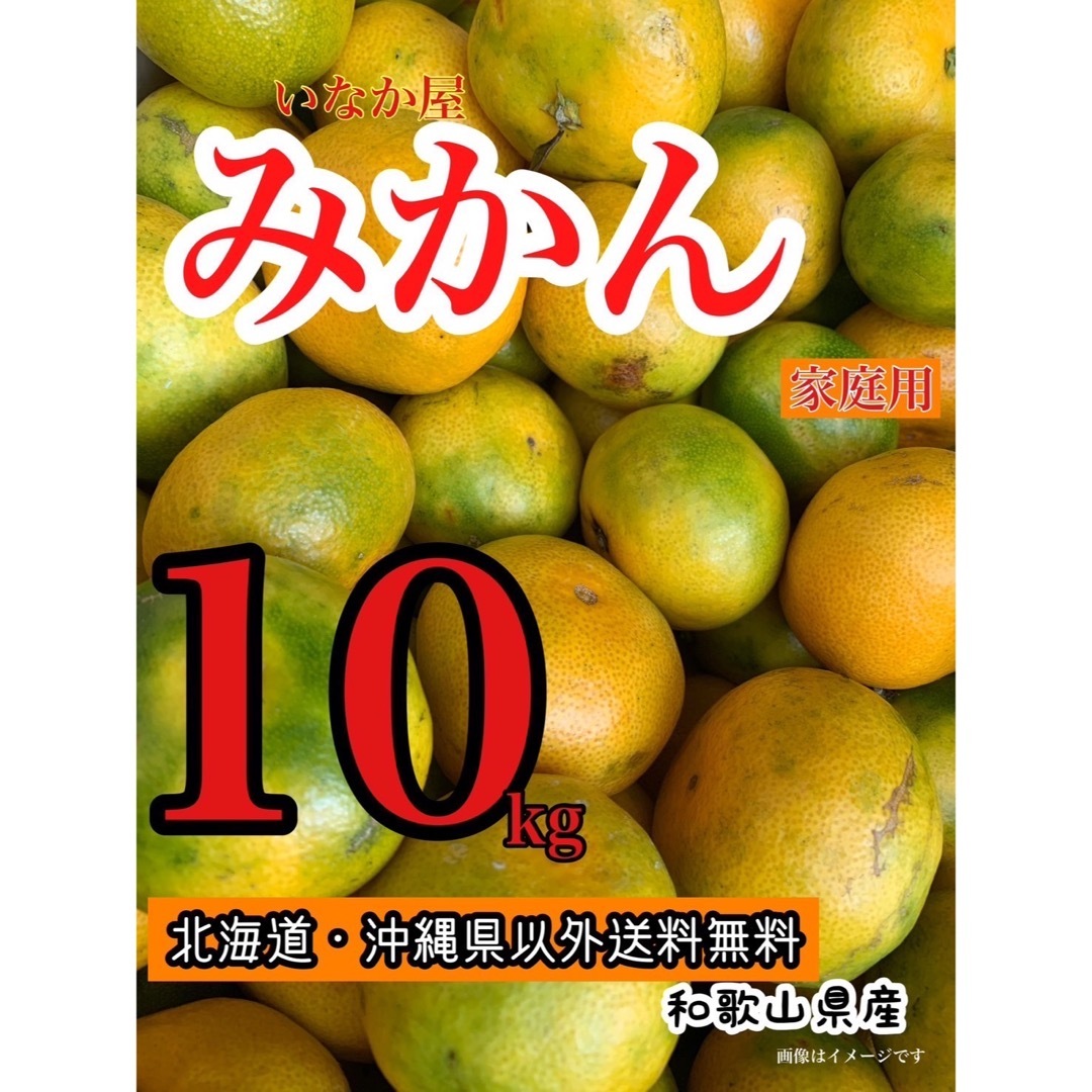 ①早い者勝ちありがとうセール!早生温州みかん「樹熟大坊みかん」秀品10Kg 柑橘