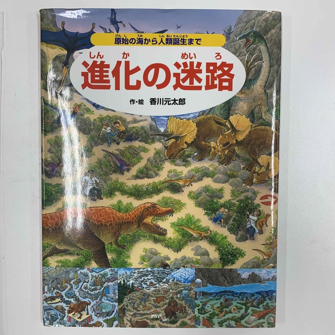 進化の迷路 原始の海から人類誕生まで エンタメ/ホビーの本(絵本/児童書)の商品写真