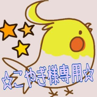 《こやぎ様専用》☀インコちゃんのおもちゃ☀２点セット☀インコ☀鳥☀ハンドメイド☀(鳥)