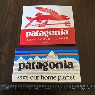 パタゴニア(patagonia)のパタゴニアステッカー(登山用品)