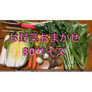 お野菜詰め合わせ　おまかせ80サイズ(野菜)