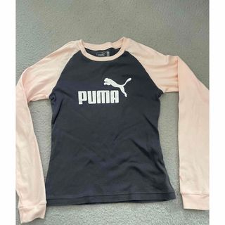 プーマ(PUMA)のPUMA (Tシャツ/カットソー)