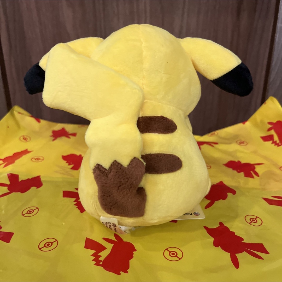 マイピカチュウ タレ耳 まんぷく メス タレ耳 目キラキラ 片手上げ オス