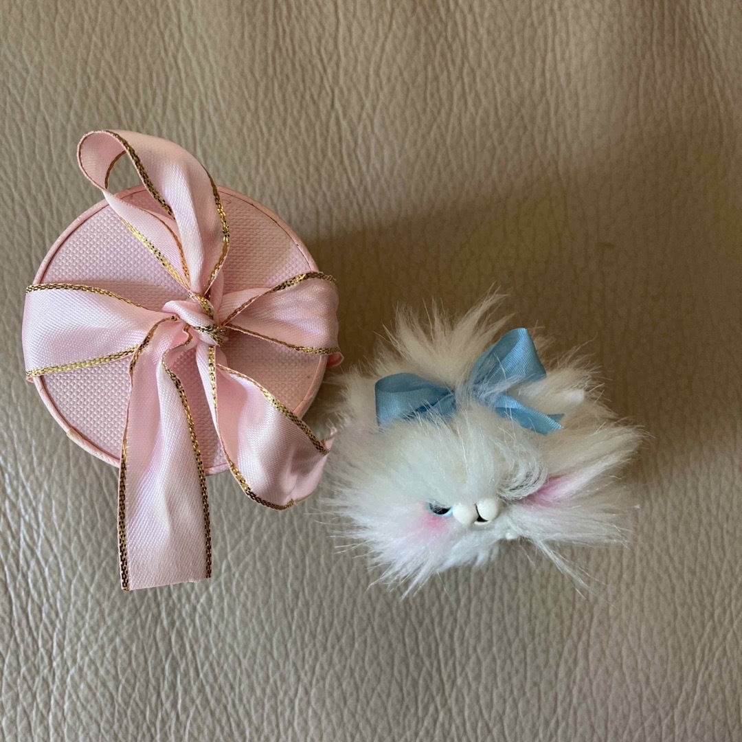 テディベア猫ちゃん テディベア猫ちゃん