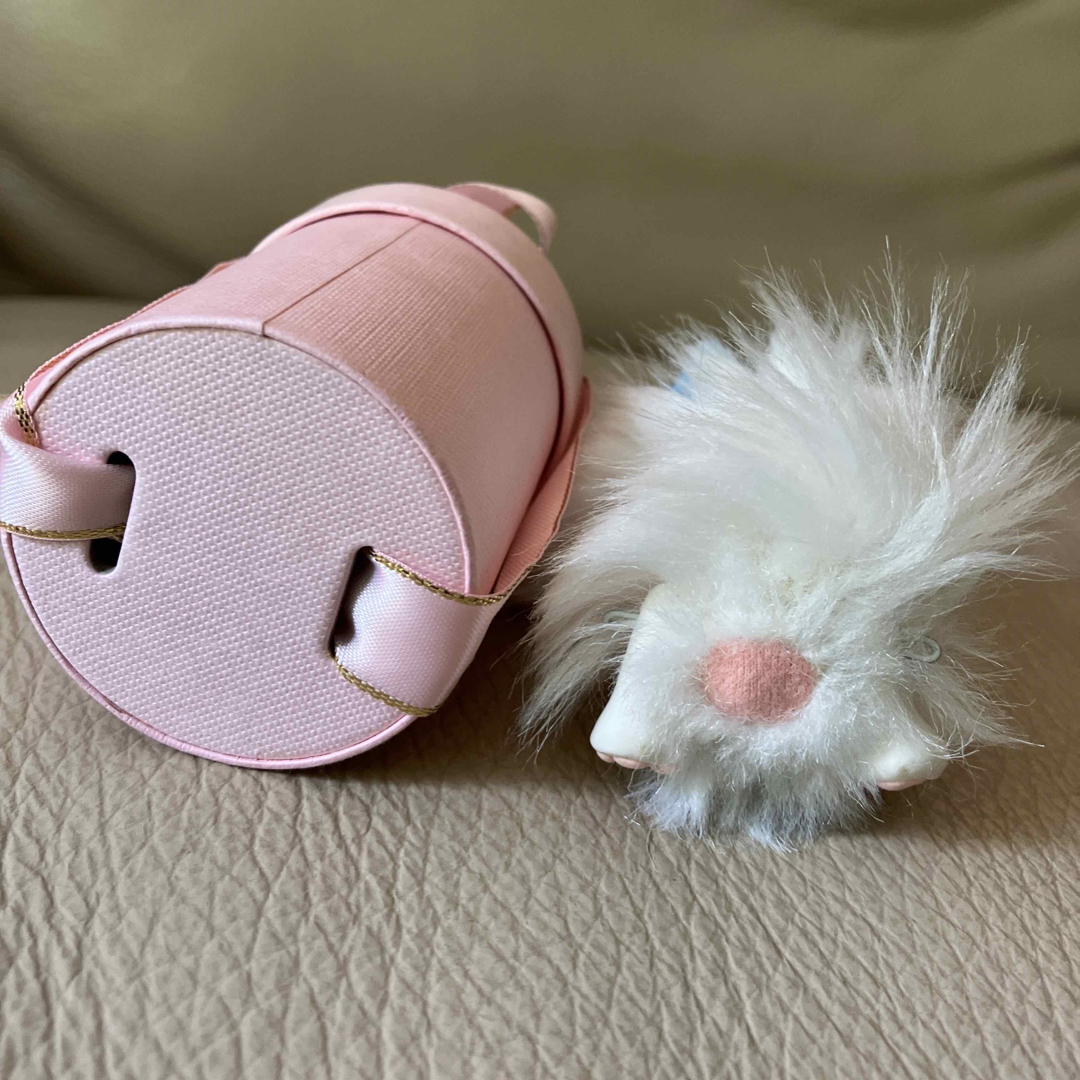 テディベア猫ちゃん テディベア猫ちゃん