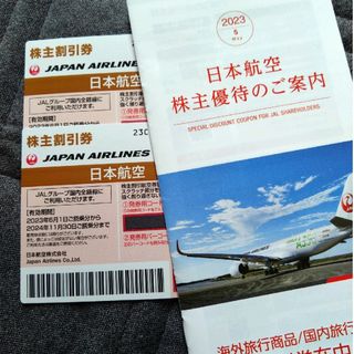 JAL 日本航空 株主優待券/株主割引券 2枚 2024年11月30日の搭乗まで(その他)