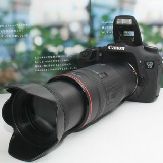 Canon - ⭐️嬉しい沢山のオマケ付き⭐️❤️Canon 55-250mm IS STM ...