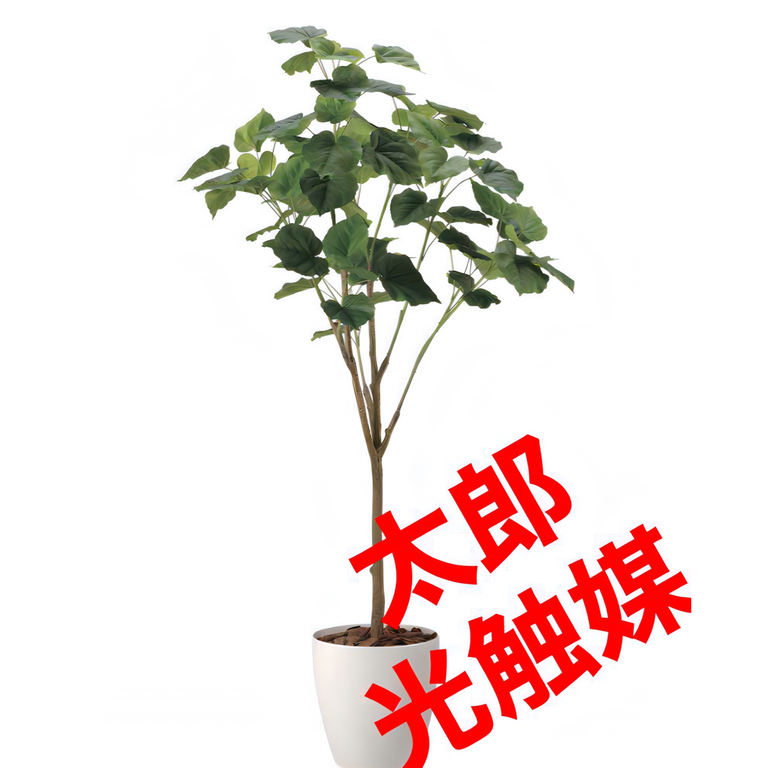 光触媒　人工観葉植物　ウォールグリーン　フェイクグリーン　ウンベラータ1.70g