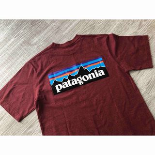 パタゴニア(patagonia)のパタゴニア　Tシャツ(Tシャツ/カットソー(半袖/袖なし))