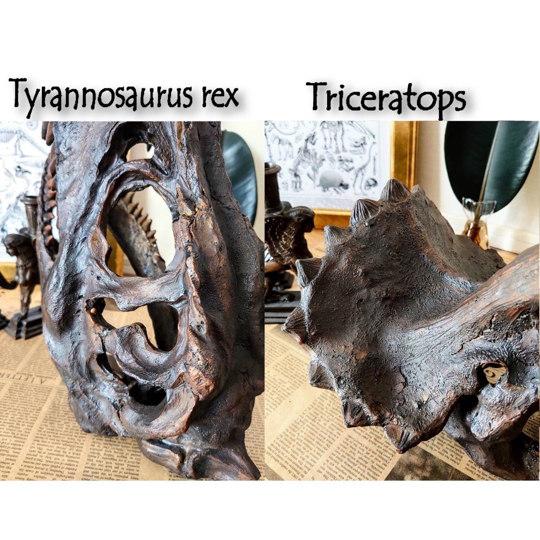 IKEA - お得なセット ティラノサウルス & トリケラトプス 化石