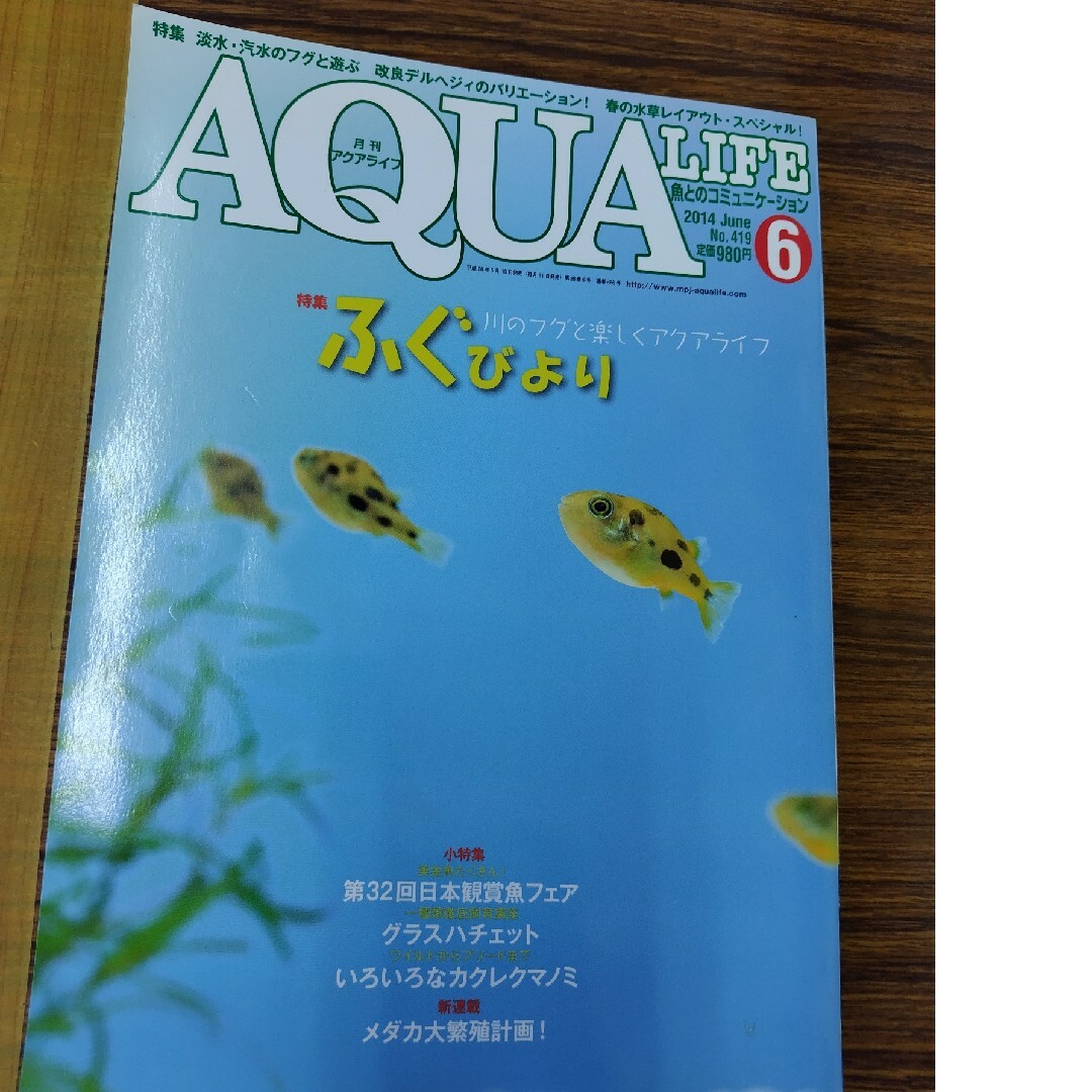 月刊 AQUA LIFE (アクアライフ) 2014年 6月号 No.419 特 エンタメ/ホビーの本(趣味/スポーツ/実用)の商品写真