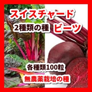 スイスチャードとビーツの【2種類　各100粒】の種★農薬:栽培期間中不使用の種(野菜)