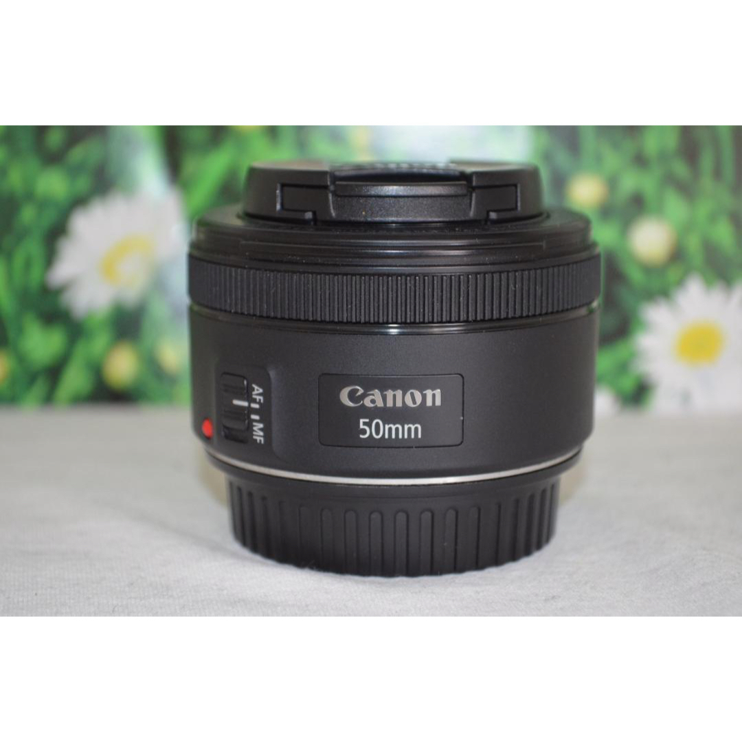 Canon - 美品 Canon EF 50mm F1.8☆新型STM☆単焦点レンズ☆明るいボケ