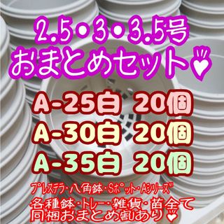 プラ鉢60個セット♪【A-25・A-30・A-35 各20個】プレステラ多肉(プランター)