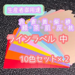 ラインラベル 中 10色  各20枚 園芸カラーラベル 多肉植物 エケベリア (プランター)