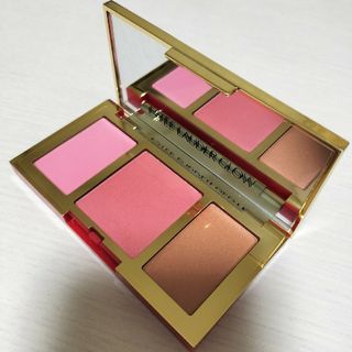 エスティローダー(Estee Lauder)のエスティーローダー　ピュア　カラー　エンヴィ　チーク　パレット　グロウ(チーク)