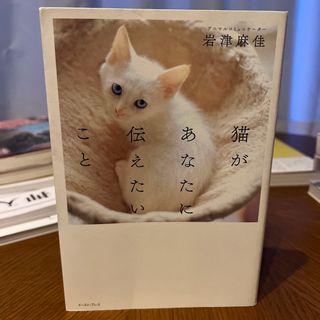 猫があなたに伝えたいこと(住まい/暮らし/子育て)