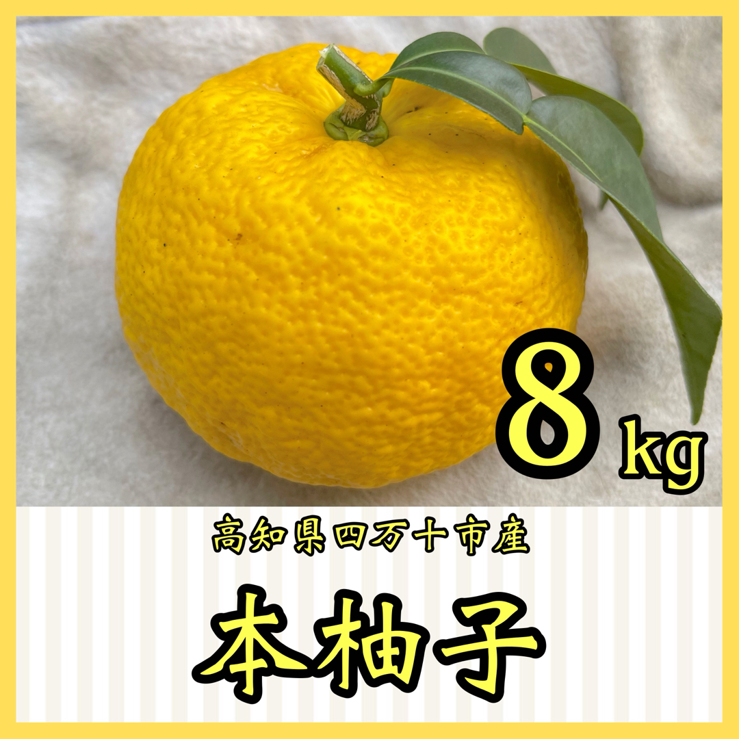 本柚子8kg RY7