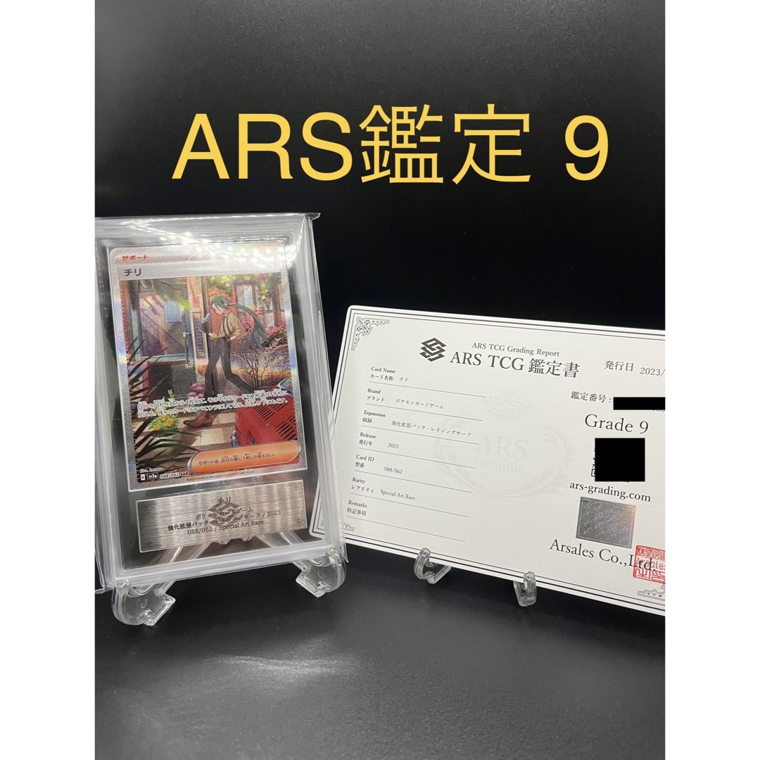 【ARS鑑定 9】チリSAR