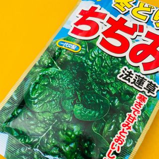 野菜の種 ちぢみほうれん草 30個 ちぢみほうれん草は濃くて甘い！(野菜)