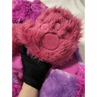 廃盤品  東京ディズニーリゾート　チシャ猫　ファンキャップ　手袋付き　マフラー