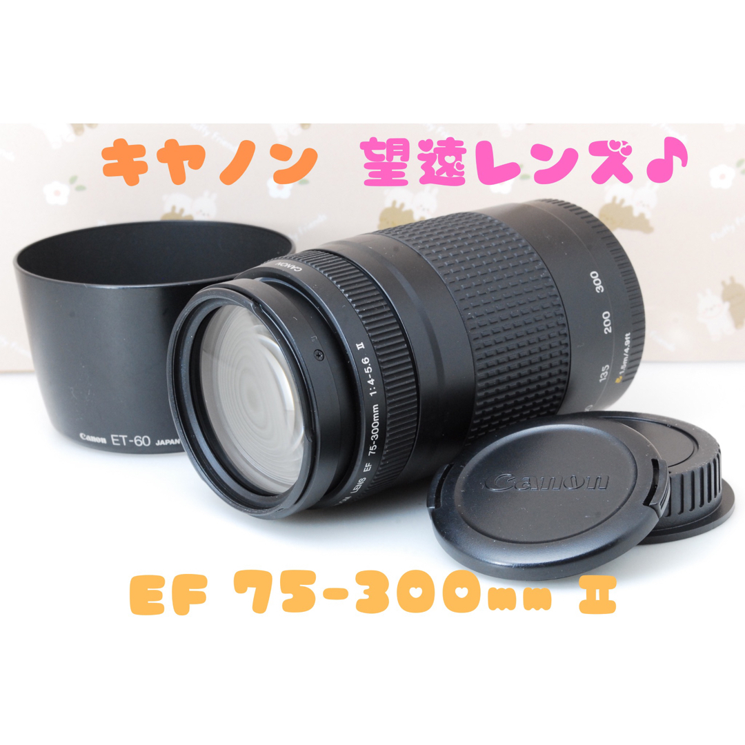 この輝きを望遠で！Canon キヤノン 望遠レンズ 迫力の75-300mm