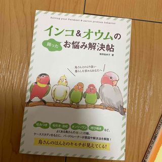 インコ＆オウムのお悩み解決帖(住まい/暮らし/子育て)