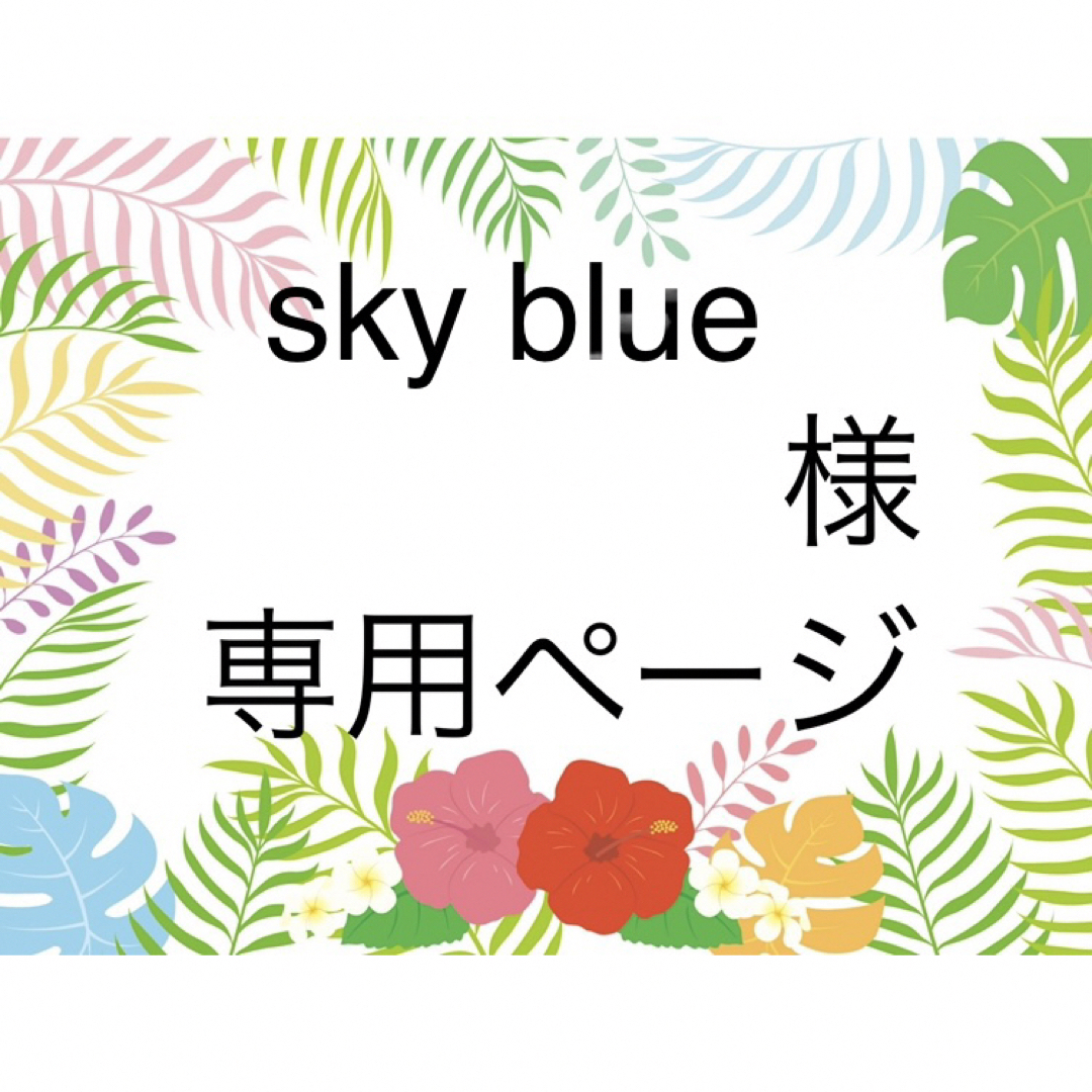 sky blue 様 オーダーページ | フリマアプリ ラクマ