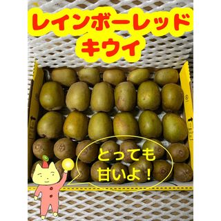 和歌山県産レインボーレッドキウイ☆小粒〜小玉☆《未完熟品》(フルーツ)