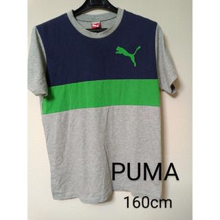 プーマ(PUMA)のPUMA　プーマTシャツ　160cm(ウェア)