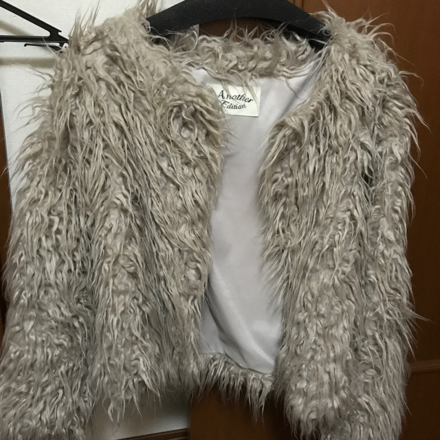 ANOTHER EDITION(アナザーエディション)のfur coat レディースのジャケット/アウター(毛皮/ファーコート)の商品写真