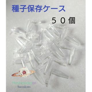 種子 花粉 保存容器 キャップ付き 50個 エケベリア リトープス(その他)