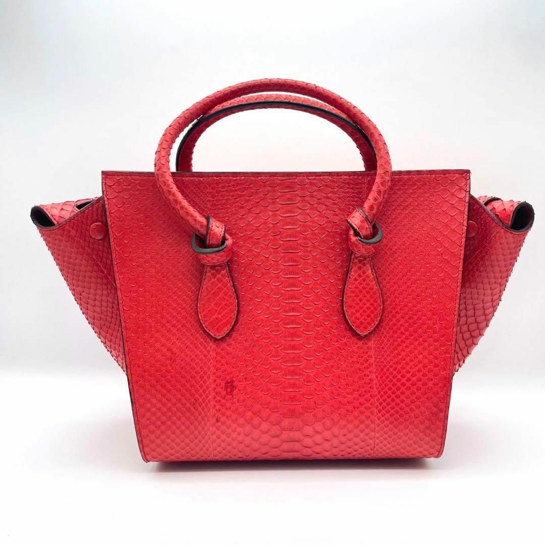 celine(セリーヌ)の希少　極美品　CELINE セリーヌ　タイバッグ　ハンドバッグ　パイソン　赤 レディースのバッグ(ハンドバッグ)の商品写真