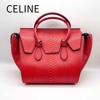 セリーヌ(celine)の希少　極美品　CELINE セリーヌ　タイバッグ　ハンドバッグ　パイソン　赤(ハンドバッグ)