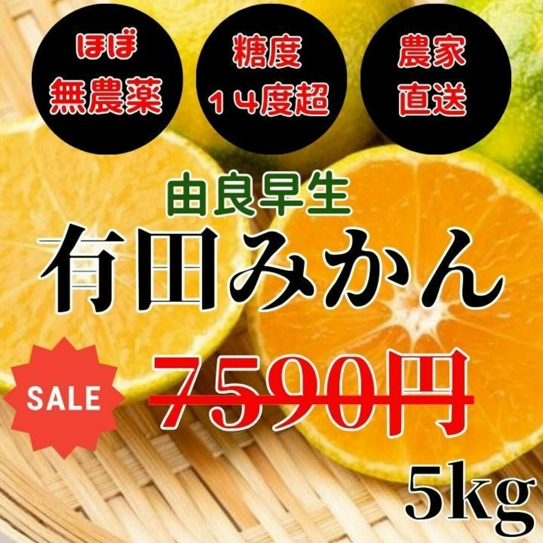 濃厚注意【減農薬】有田みかん 5kg 由良早生 産地直送 甘い