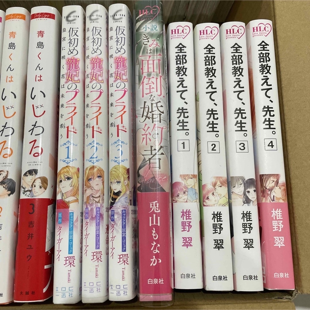 いつわりの愛~契約婚の旦那さまは甘すぎる~ 1 など 漫画 TL いつわりの愛~契約婚の旦那さまは甘すぎる~ 1 など 漫画 TL