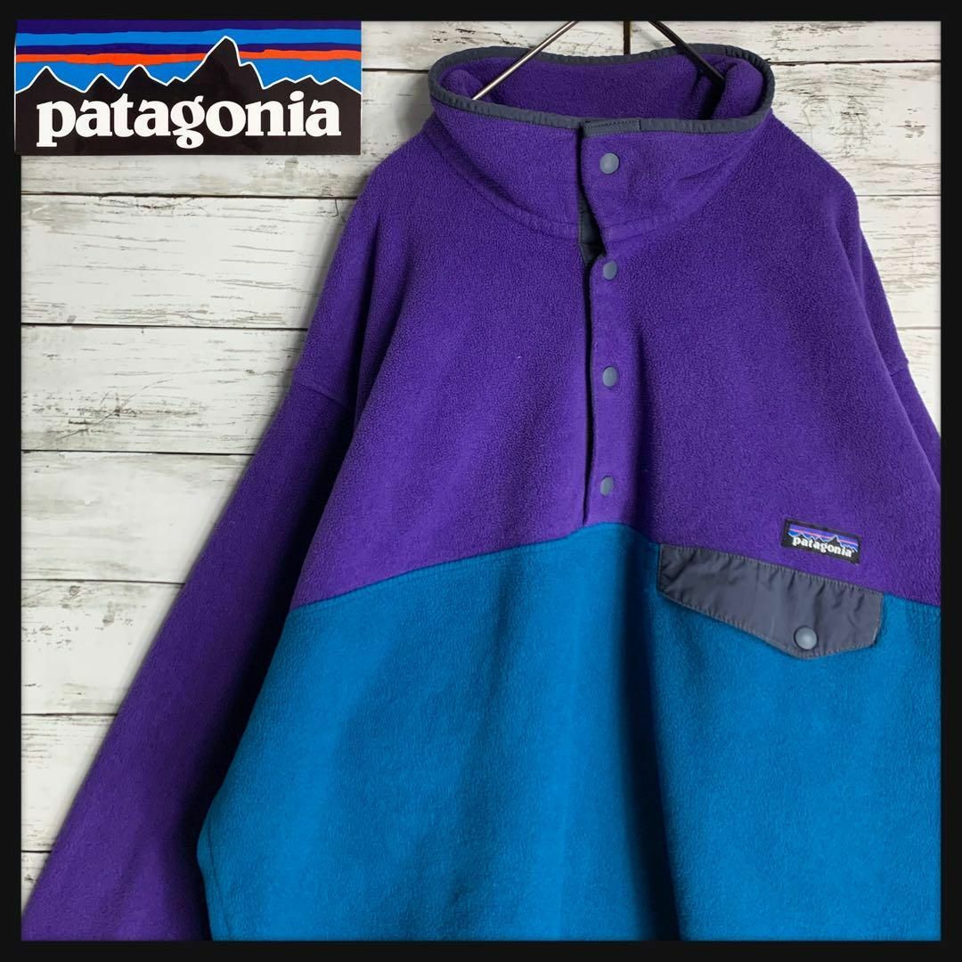 【希少デザイン】patagonia シンチラ　フリース　即完売モデル　入手困難 | フリマアプリ ラクマ