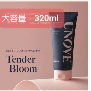 アモーレパシフィック(AMOREPACIFIC)のアノブ　ディープダメージトリートメント　トリートメント(トリートメント)