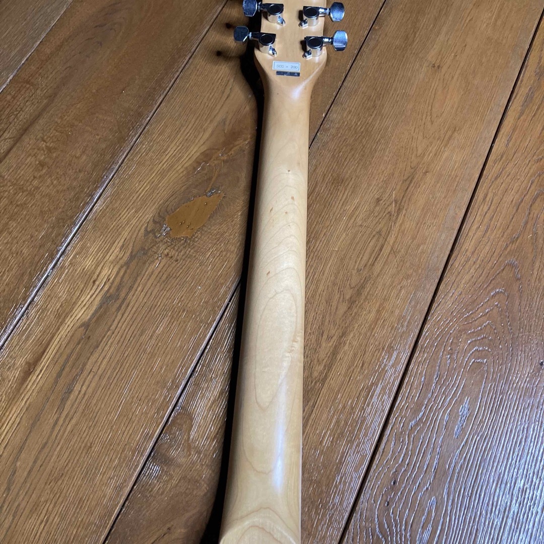AriaCompany - アリアプロ2 GOALⅢ SCG-200 ギター スピーカー AriaCompany - アリアプロ2 GOALⅢ SCG-200 ギター スピーカー
