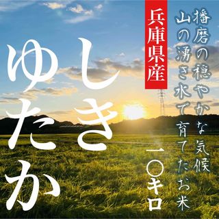 【レア品種 シキユタカ】兵庫県産新米＊湧き水育ち農家のお米 10kg(米/穀物)