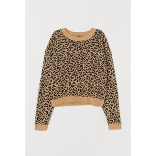 エイチアンドエム(H&M)のH&M レオパードニット　ヒョウ柄ニット(ニット/セーター)