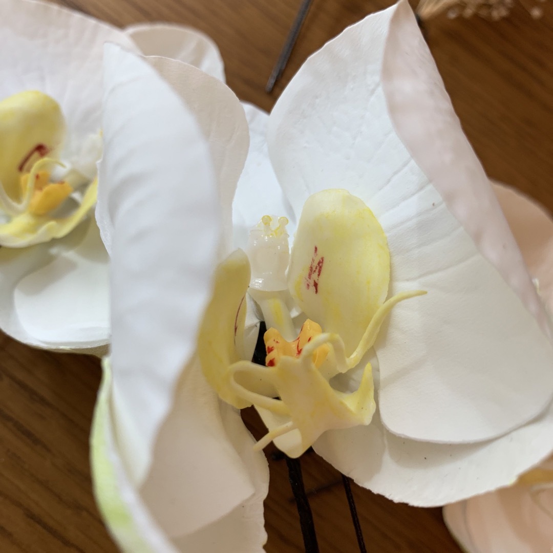 胡蝶蘭　かすみ草　髪飾り ハンドメイドのアクセサリー(ヘアアクセサリー)の商品写真