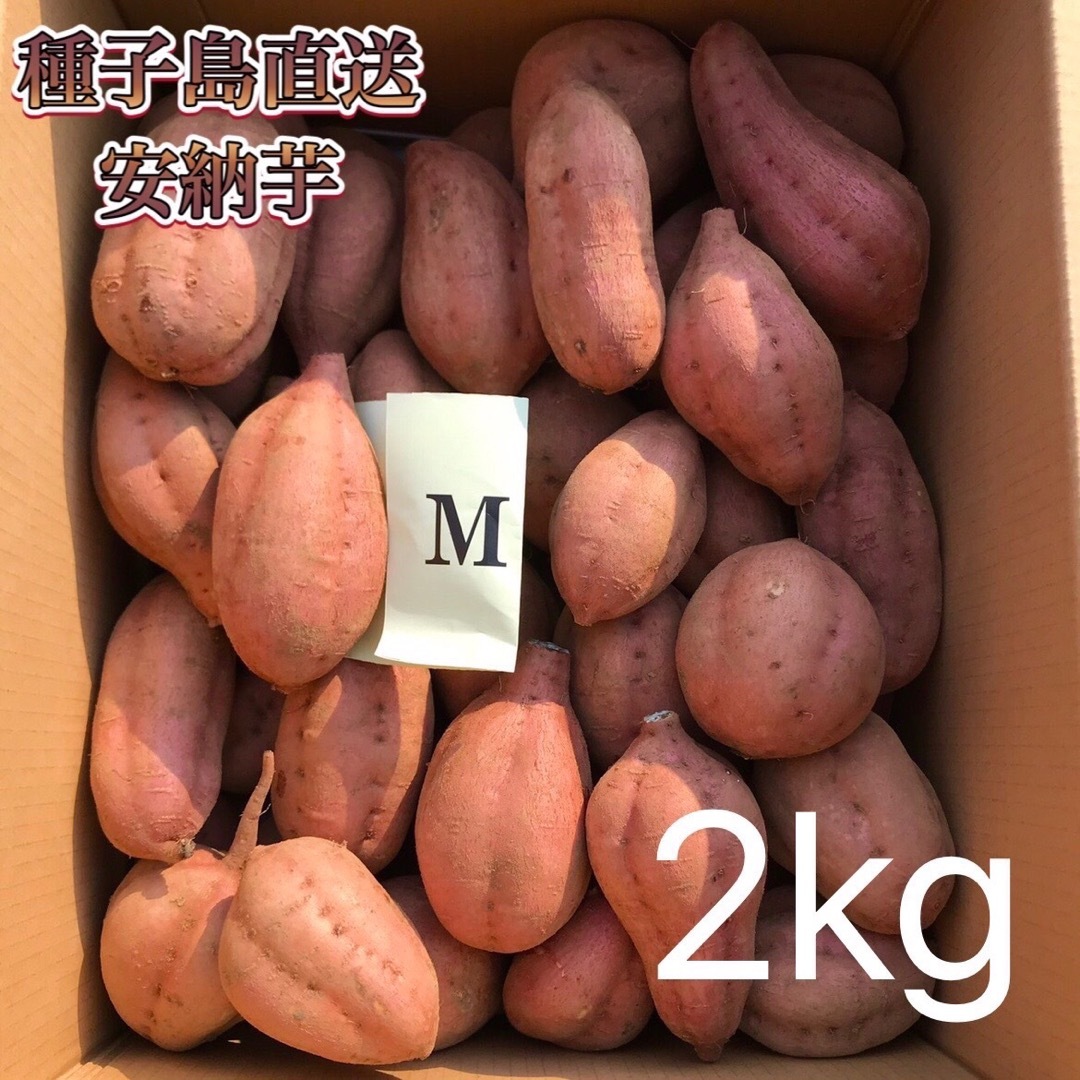 【絶品】種子島産  安納芋M 2kg(箱別) 食品/飲料/酒の食品(野菜)の商品写真